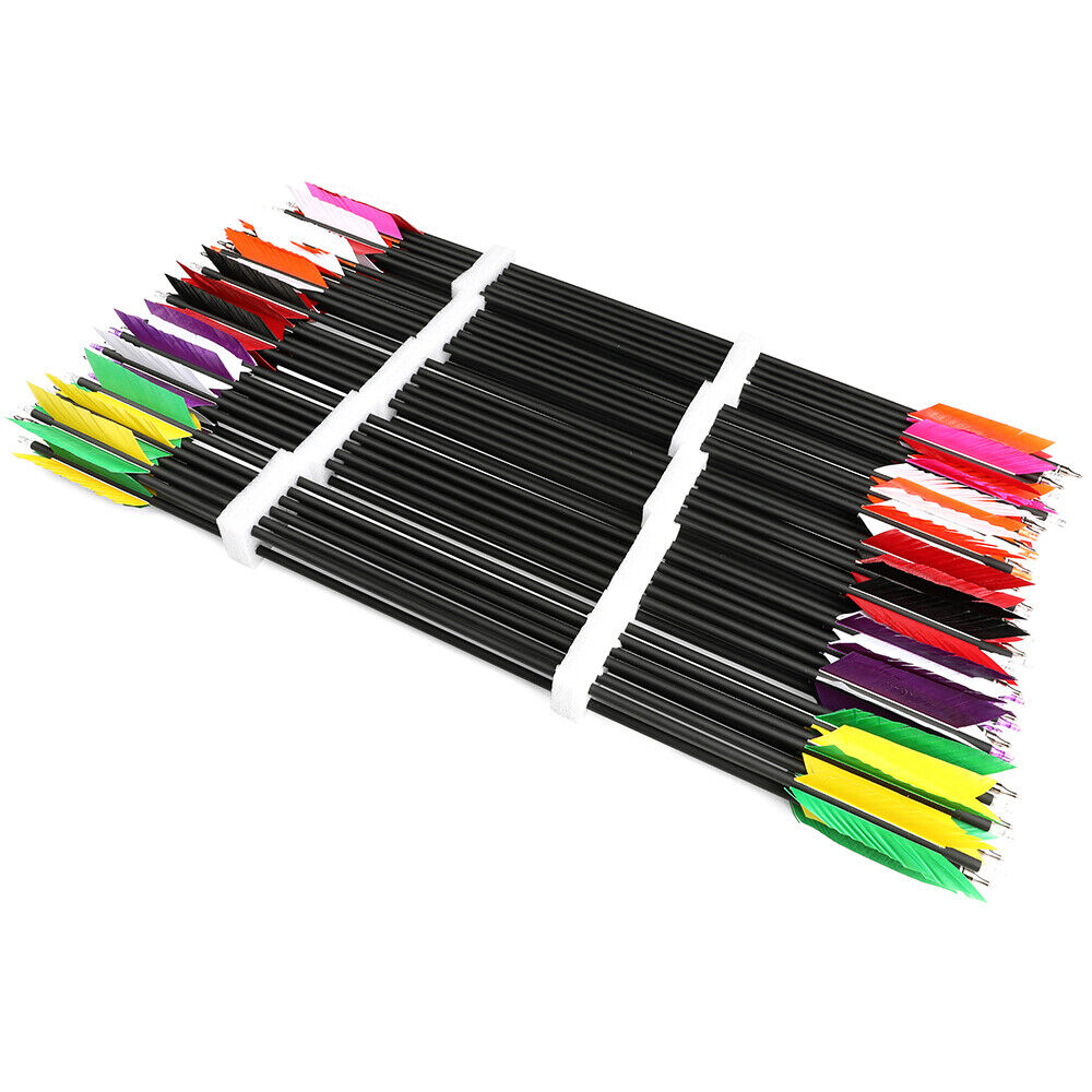 12pcs 30" Carbon Arrows 4"  Feather SP500 Bow Hunt Archery Shoot Target